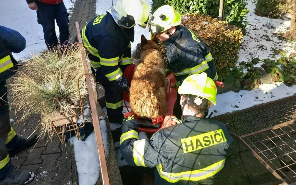 Čtyřnozí mazlíčci v pasti. Hasiči na jihu Moravy pomáhali psům z roury i přehrady