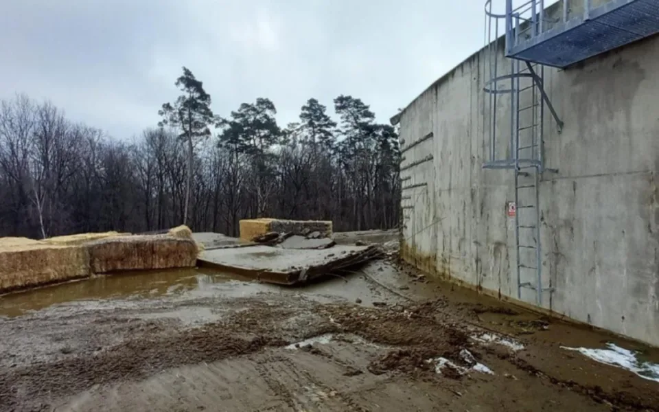 ilustrační foto