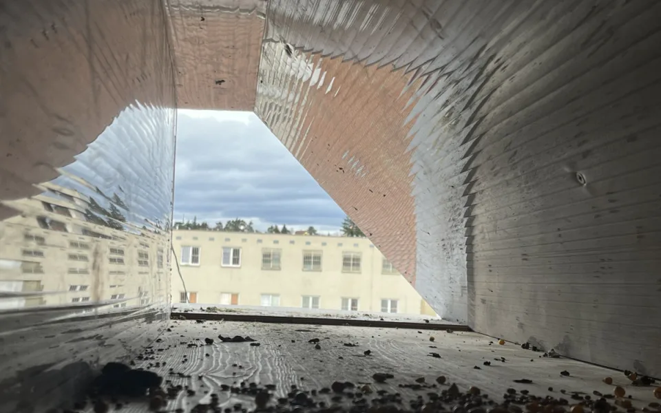 VIDEO: V Brně pozvali opeřence do věznice. Na půdě postavili holubník