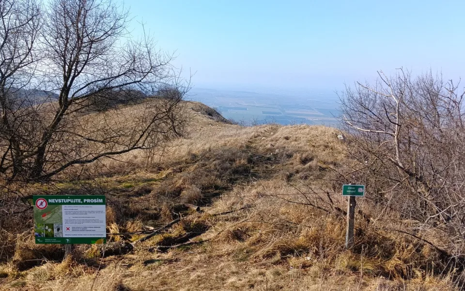 Oblíbený výletní cíl trpí. Turisté na Pálavě nekoukají pod nohy a způsobují škody