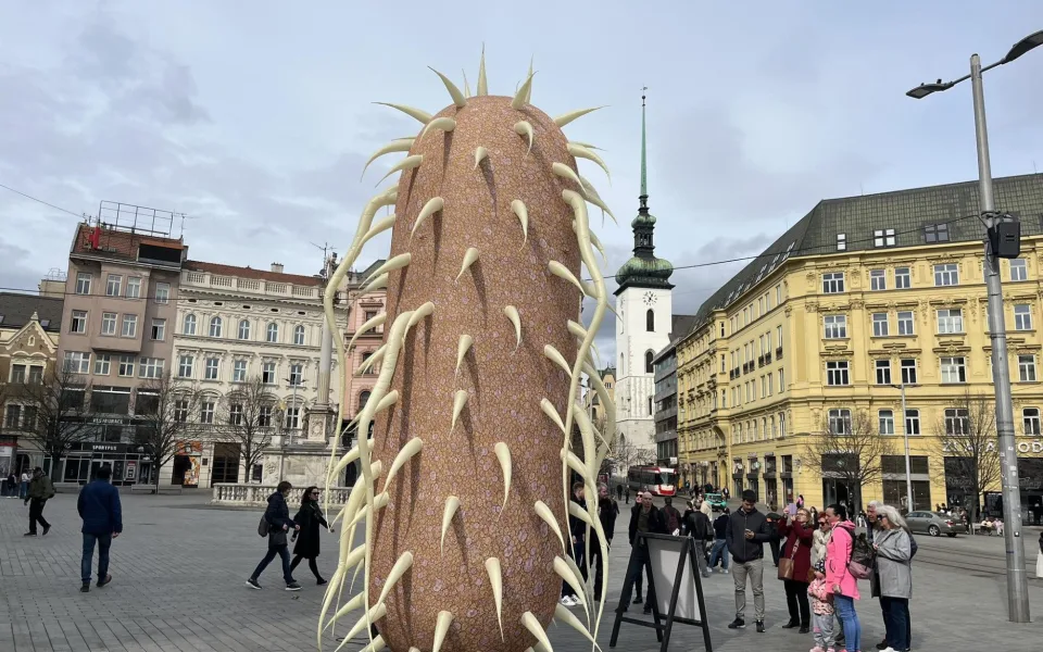 V Brně se usadí obří nafukovací bakterie. Láká na přednášky o mikroskopech