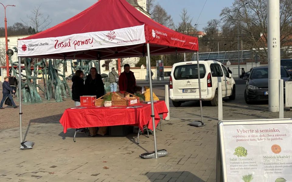 Jarní sbírka podpoří Brňany v těžké situaci, dárci si odnesou semínko k zasazení