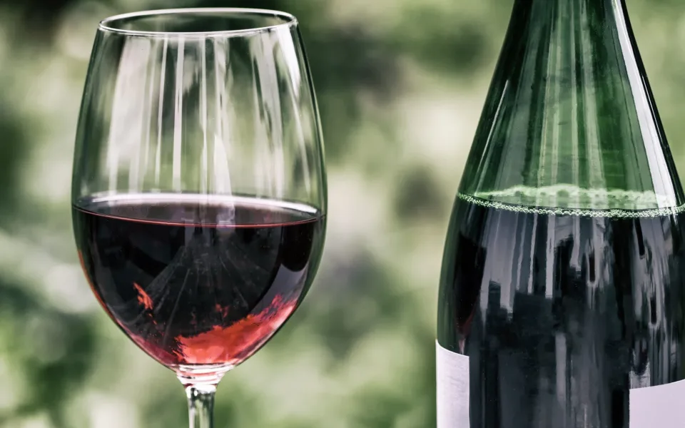 Vinné trhy ve Valticích mají své šampiony. Vína zájemci ochutnají už za tři týdny
