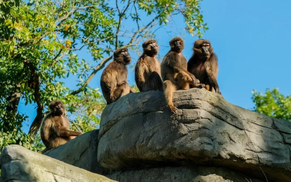 Den Země v Zoo Brno: objevte přírodu jako dokonalý systém, kde nic nepřijde nazmar.