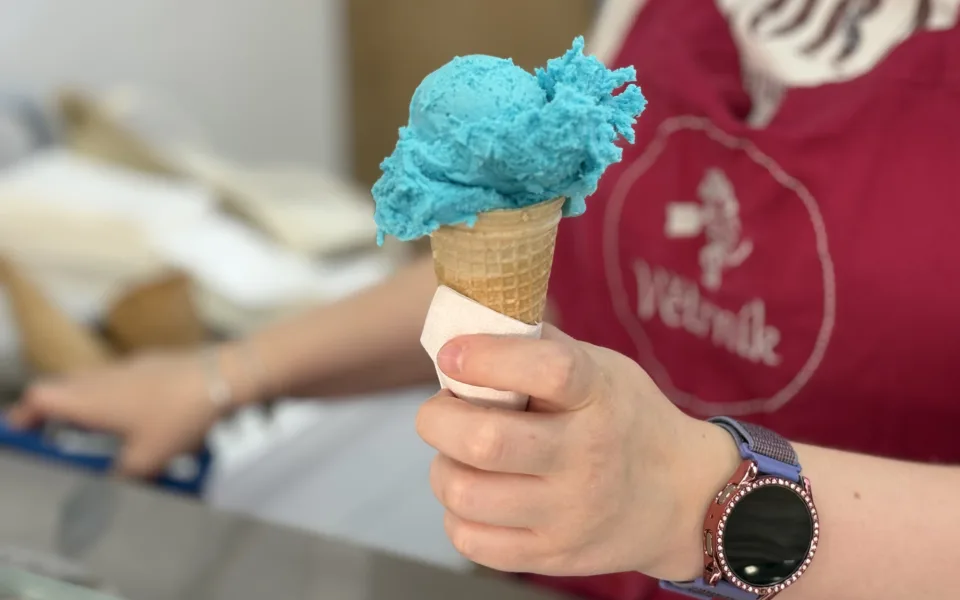 Kam v Brně utéct před vedrem? NC Královo Pole nabízí chládek i víkendovou pohodu