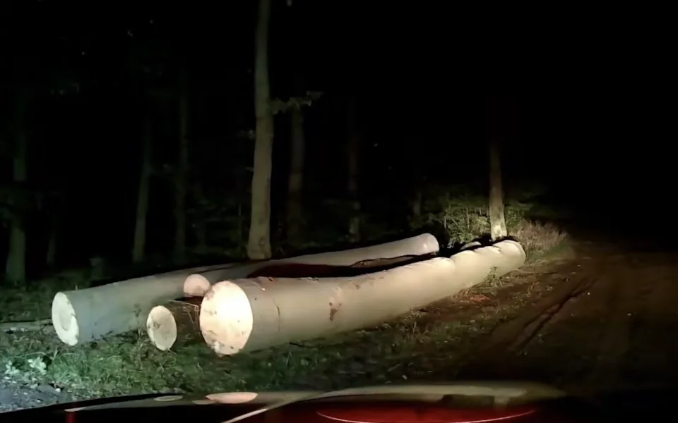 VIDEO: Minuty hrůzy. V lese na Znojemsku se ztratilo pět dětí, byly na táboře